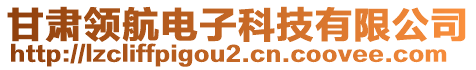 甘肅領(lǐng)航電子科技有限公司