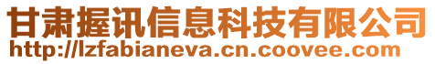 甘肅握訊信息科技有限公司