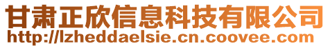 甘肅正欣信息科技有限公司