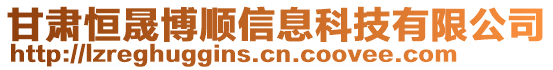 甘肅恒晟博順信息科技有限公司