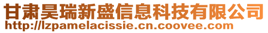 甘肅昊瑞新盛信息科技有限公司