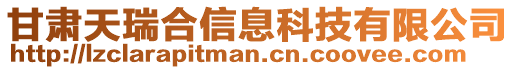 甘肅天瑞合信息科技有限公司