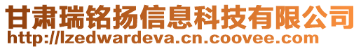 甘肅瑞銘揚信息科技有限公司