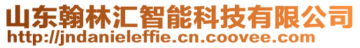 山東翰林匯智能科技有限公司