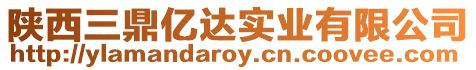 陜西三鼎億達(dá)實(shí)業(yè)有限公司
