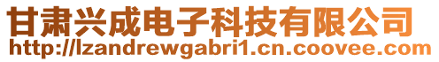 甘肅興成電子科技有限公司