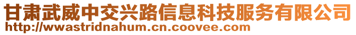 甘肅武威中交興路信息科技服務(wù)有限公司