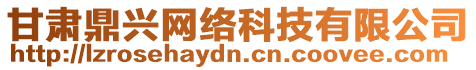 甘肅鼎興網(wǎng)絡(luò)科技有限公司