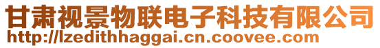 甘肅視景物聯(lián)電子科技有限公司