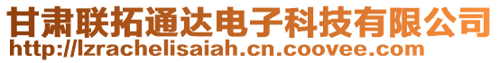 甘肅聯(lián)拓通達(dá)電子科技有限公司