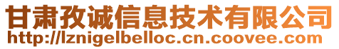 甘肅孜誠信息技術有限公司
