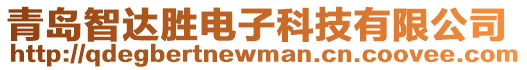 青島智達(dá)勝電子科技有限公司