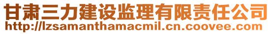 甘肅三力建設(shè)監(jiān)理有限責(zé)任公司