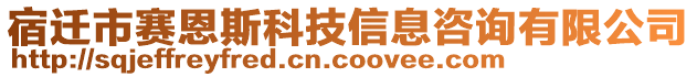 宿遷市賽恩斯科技信息咨詢有限公司