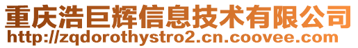 重慶浩巨輝信息技術(shù)有限公司