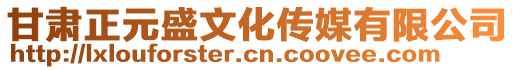 甘肅正元盛文化傳媒有限公司