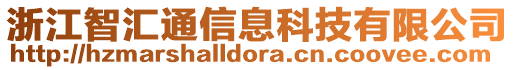 浙江智匯通信息科技有限公司