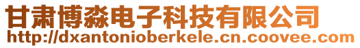 甘肅博淼電子科技有限公司