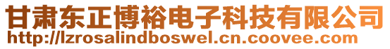 甘肅東正博裕電子科技有限公司