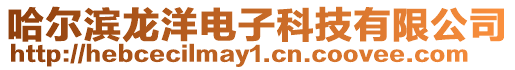 哈爾濱龍洋電子科技有限公司