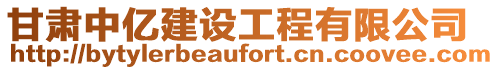 甘肅中億建設(shè)工程有限公司