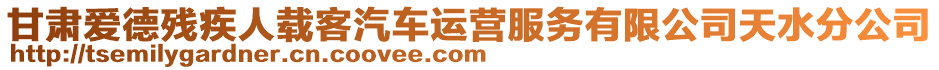 甘肅愛德殘疾人載客汽車運營服務有限公司天水分公司