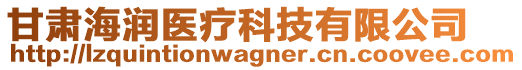 甘肅海潤(rùn)醫(yī)療科技有限公司