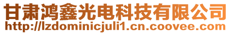 甘肅鴻鑫光電科技有限公司