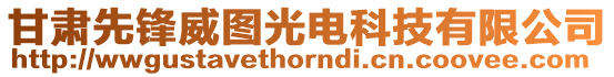 甘肅先鋒威圖光電科技有限公司