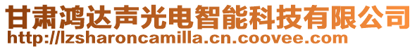 甘肅鴻達聲光電智能科技有限公司