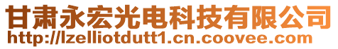 甘肅永宏光電科技有限公司