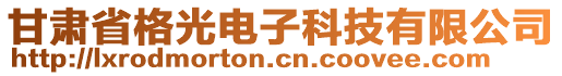 甘肅省格光電子科技有限公司