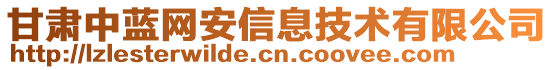 甘肅中藍網安信息技術有限公司