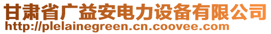 甘肅省廣益安電力設備有限公司