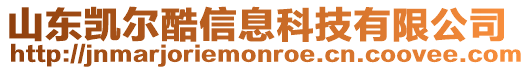山東凱爾酷信息科技有限公司