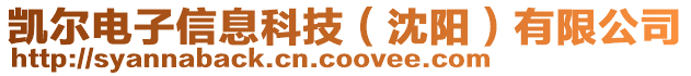 凱爾電子信息科技（沈陽）有限公司