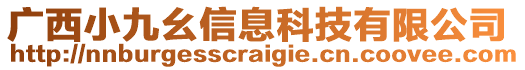 廣西小九幺信息科技有限公司