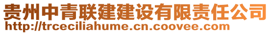 貴州中青聯(lián)建建設(shè)有限責(zé)任公司