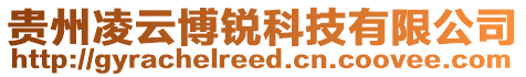 貴州凌云博銳科技有限公司