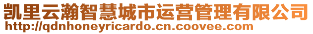 凱里云瀚智慧城市運營管理有限公司