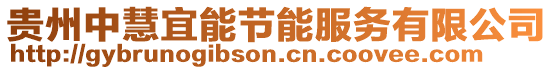 貴州中慧宜能節(jié)能服務(wù)有限公司