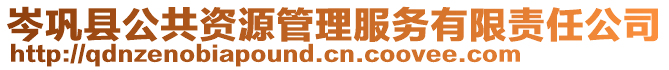 岑鞏縣公共資源管理服務有限責任公司