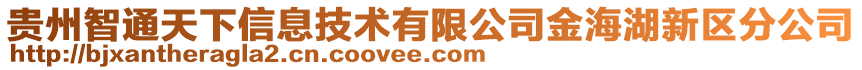 貴州智通天下信息技術(shù)有限公司金海湖新區(qū)分公司