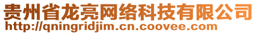 貴州省龍亮網(wǎng)絡(luò)科技有限公司