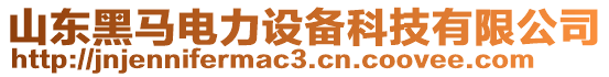 山東黑馬電力設(shè)備科技有限公司