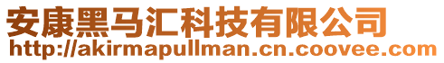 安康黑馬匯科技有限公司