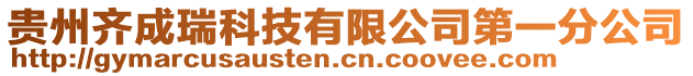 貴州齊成瑞科技有限公司第一分公司