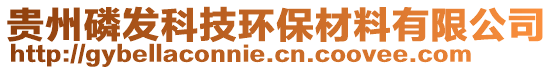 貴州磷發(fā)科技環(huán)保材料有限公司