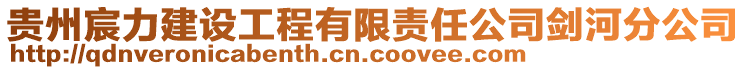 貴州宸力建設工程有限責任公司劍河分公司