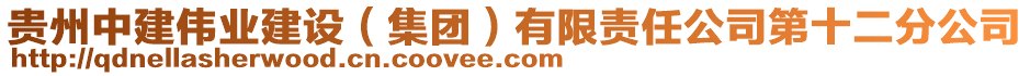 貴州中建偉業(yè)建設(shè)（集團）有限責任公司第十二分公司